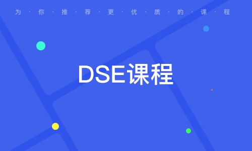 天津?DSE課程