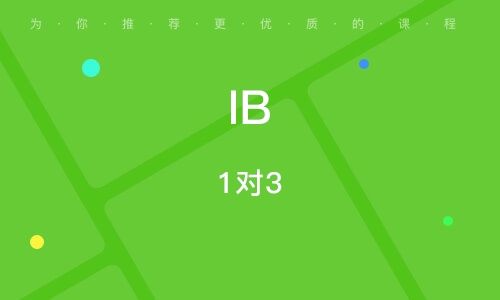 乌鲁木齐****学校（未认证机构）