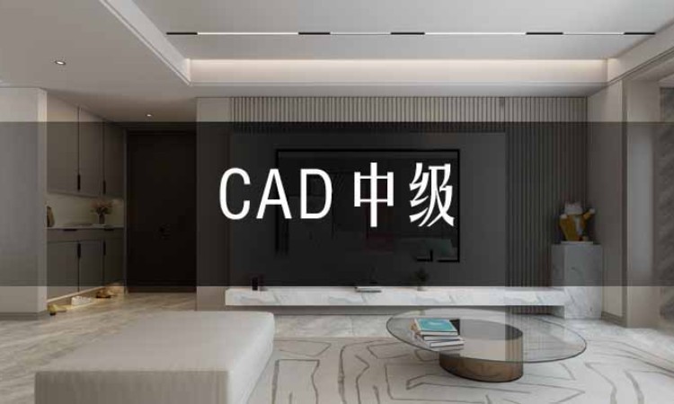 合肥CAD培訓(xùn)【中級(jí)】