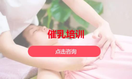 催乳培訓(xùn)
