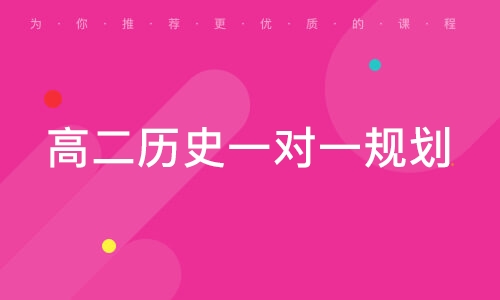高二历史一对一规划