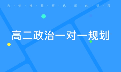 高二政治一对一规划