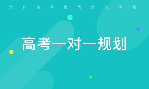 高考一对一规划