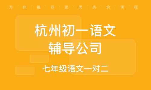 杭州鑫宸培训学校有限公司