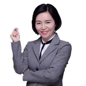 民事诉讼法 蔡辉