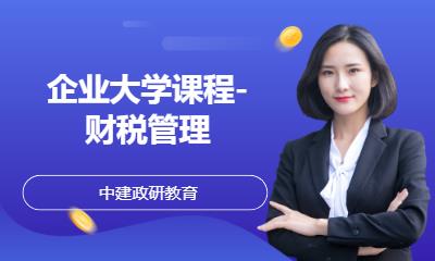 企业大学课程-财税管理