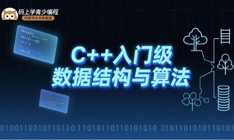 北京C++入门级数据结构与算法直播课