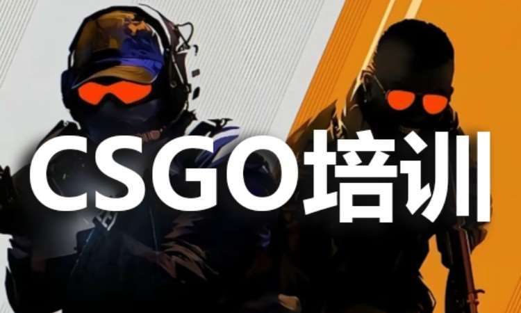成都网红课程培训