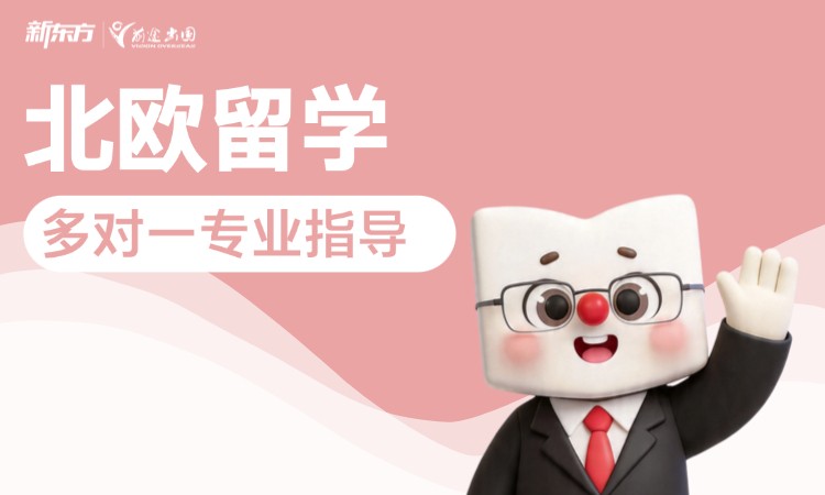 北欧留学-多对一专业指导