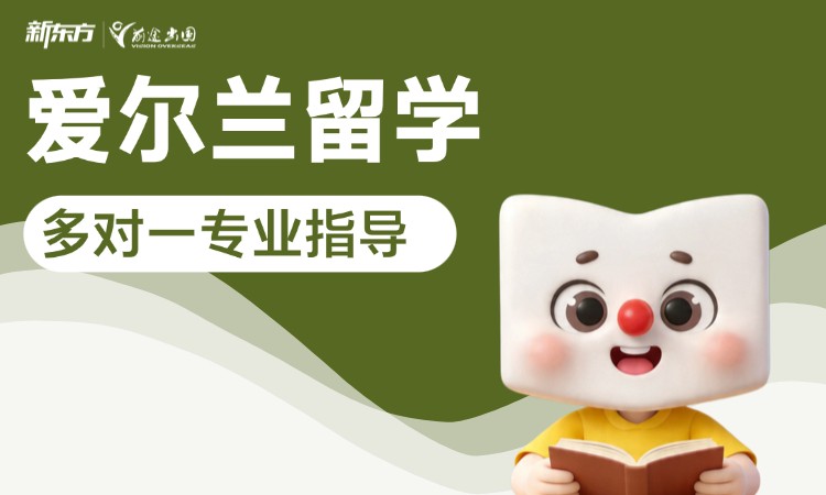 南京爱尔兰留学-多对一专业指导