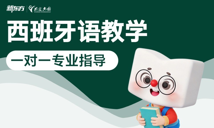 成都西班牙语教学-一对一专业指导