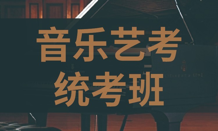 音乐艺考统考班