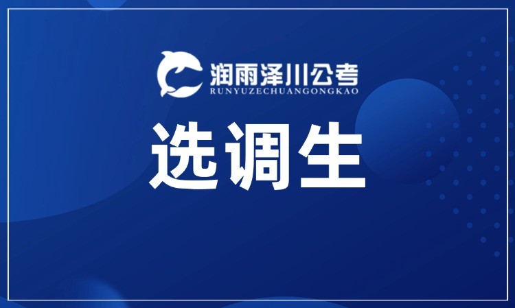 北京选调生上岸营