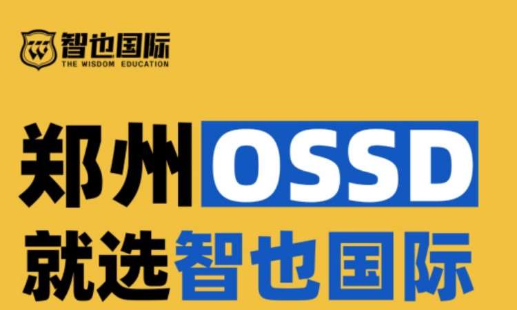 郑州艺术作品集辅导