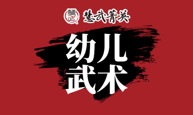 长沙少儿武术培训班