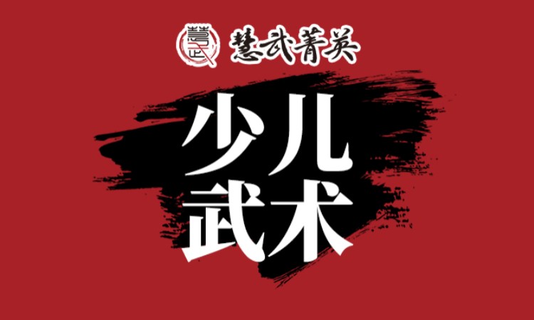 苏州武术少儿培训