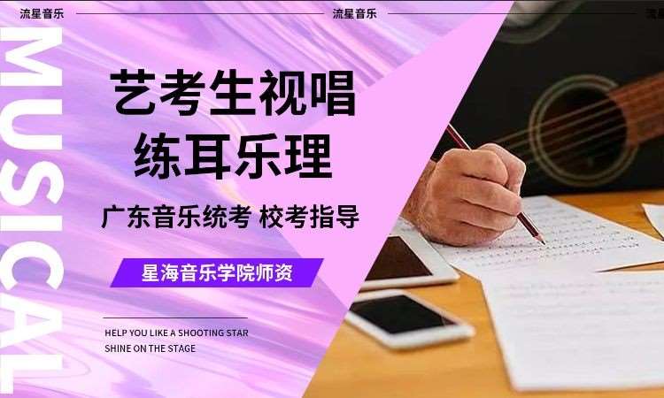 星海音乐学院艺考·练耳乐理特训课