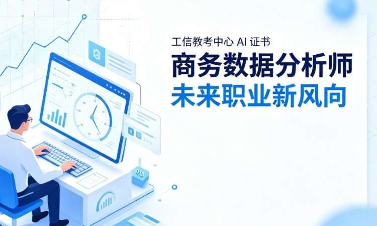西安商务数据分析师