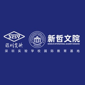 深圳新哲文院培训