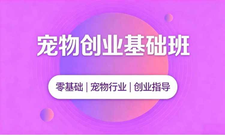 宠物创业基础班