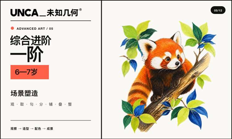 美术-综合进阶一阶（一年级）
