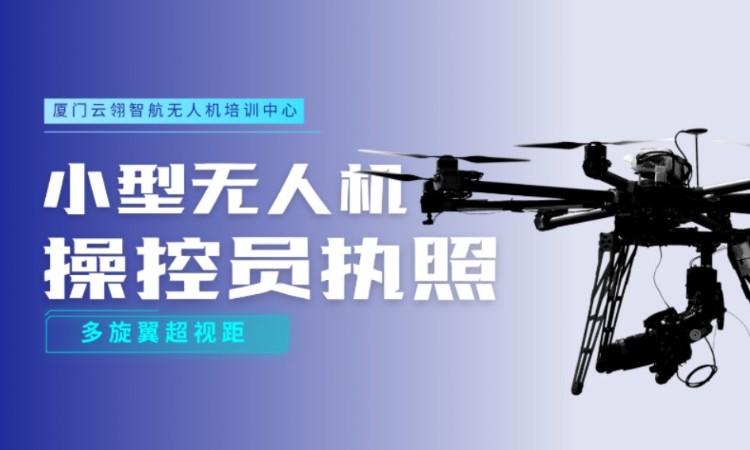 小型多旋翼超视距驾驶员