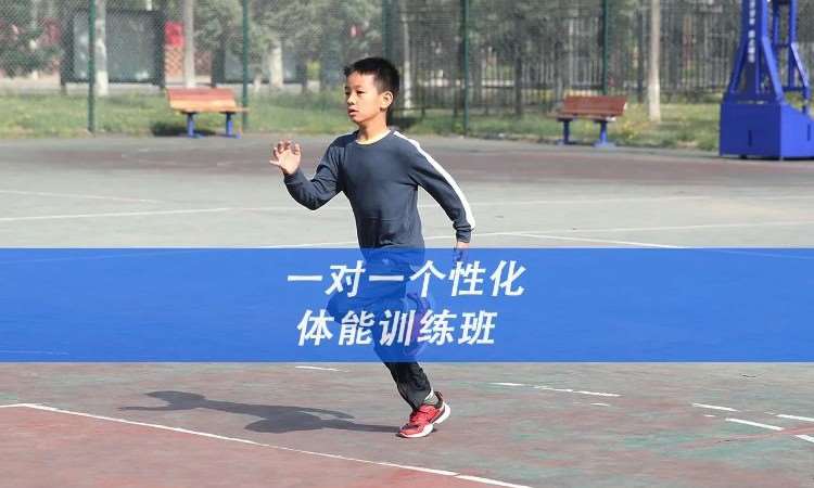【一对一】个性化体考定制班