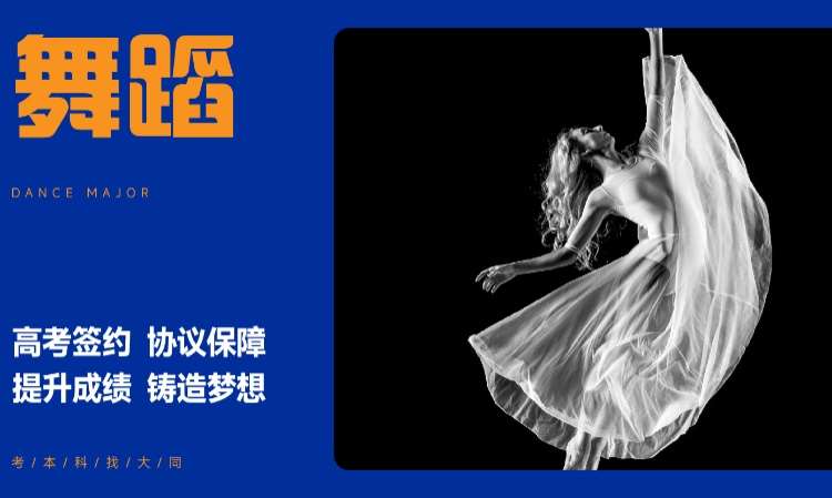 舞蹈专业培训