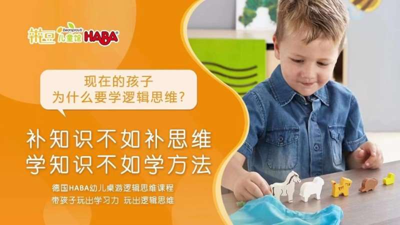 德国HABA逻辑思维课程