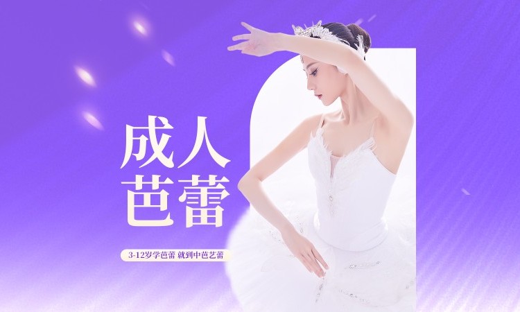 成都****学校（未认证机构）