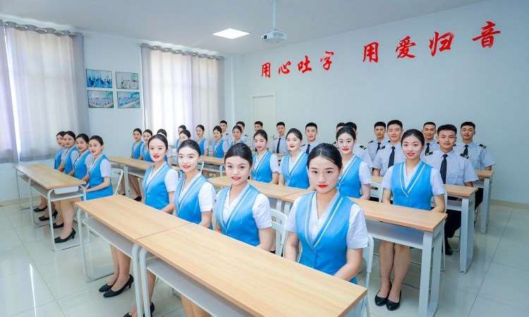 语言系统