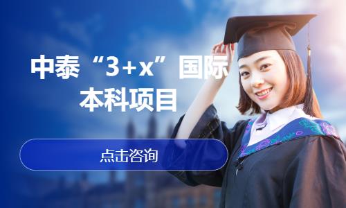 沈阳中泰“3+x”国际本科项目