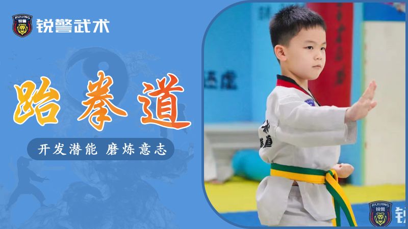 广州跆拳道少儿培训班