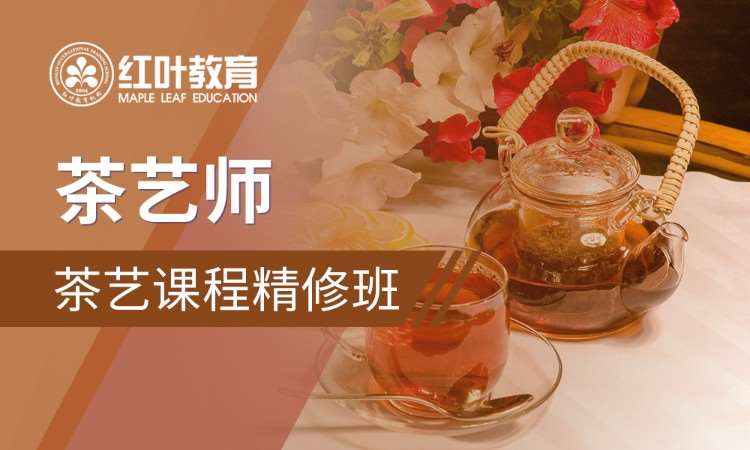 宁波茶艺师学习