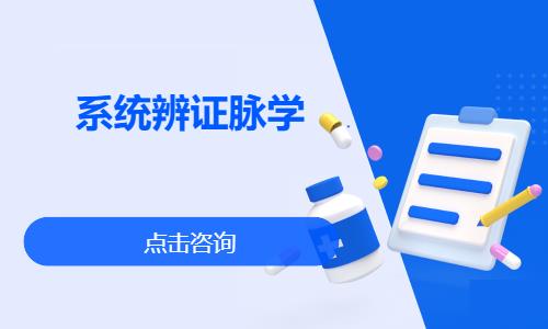 成都系统辨证脉学