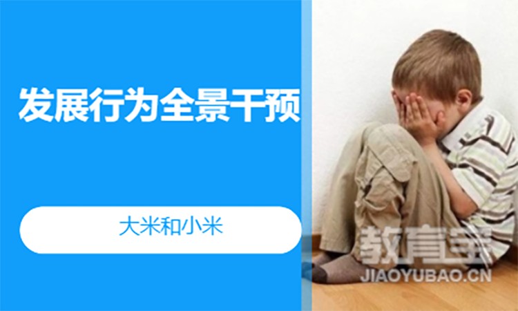 深圳发展行为全景干预
