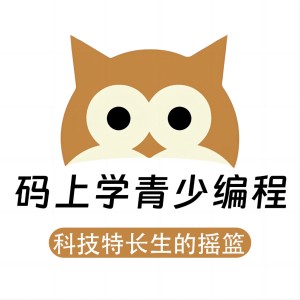 码上学青少编程（北京）