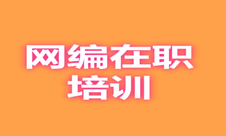 网编在职培训